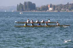 IMG_8449