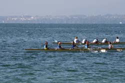 IMG_8451