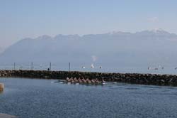 IMG_8534