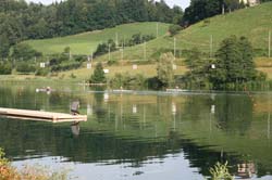 IMG_7455