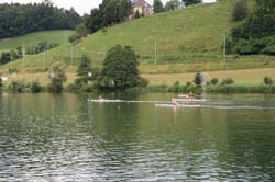 IMG_7550