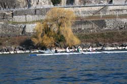 IMG_4879