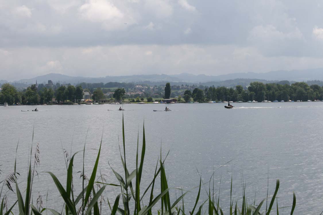 IMG_7033