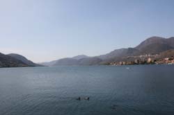 IMG_5332