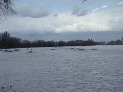 P1000220