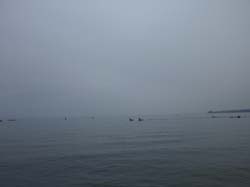 lausanne_005