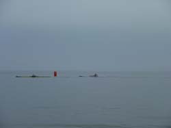 lausanne_025