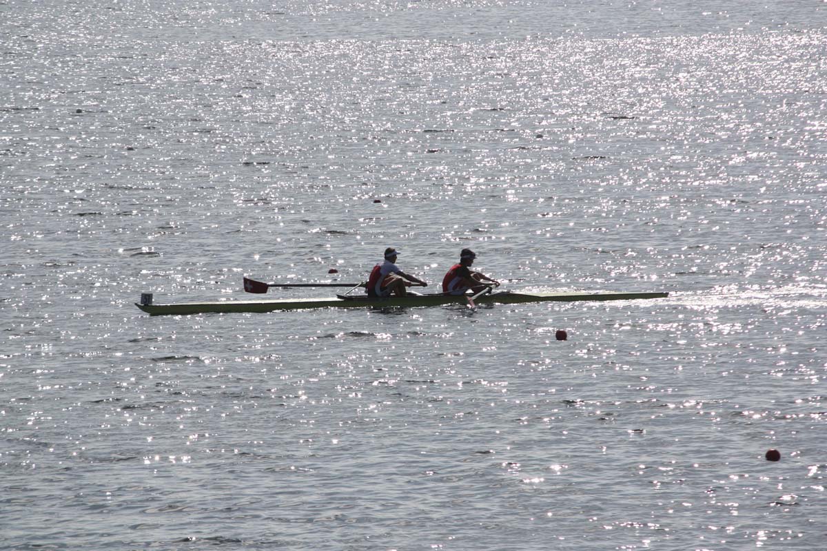 Orta 620