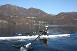 Orta 306