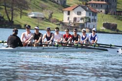 Orta 338