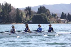 Orta 354