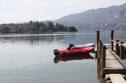 Orta 398