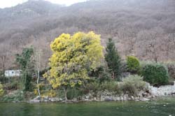 Orta 476