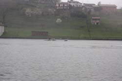 Orta 677