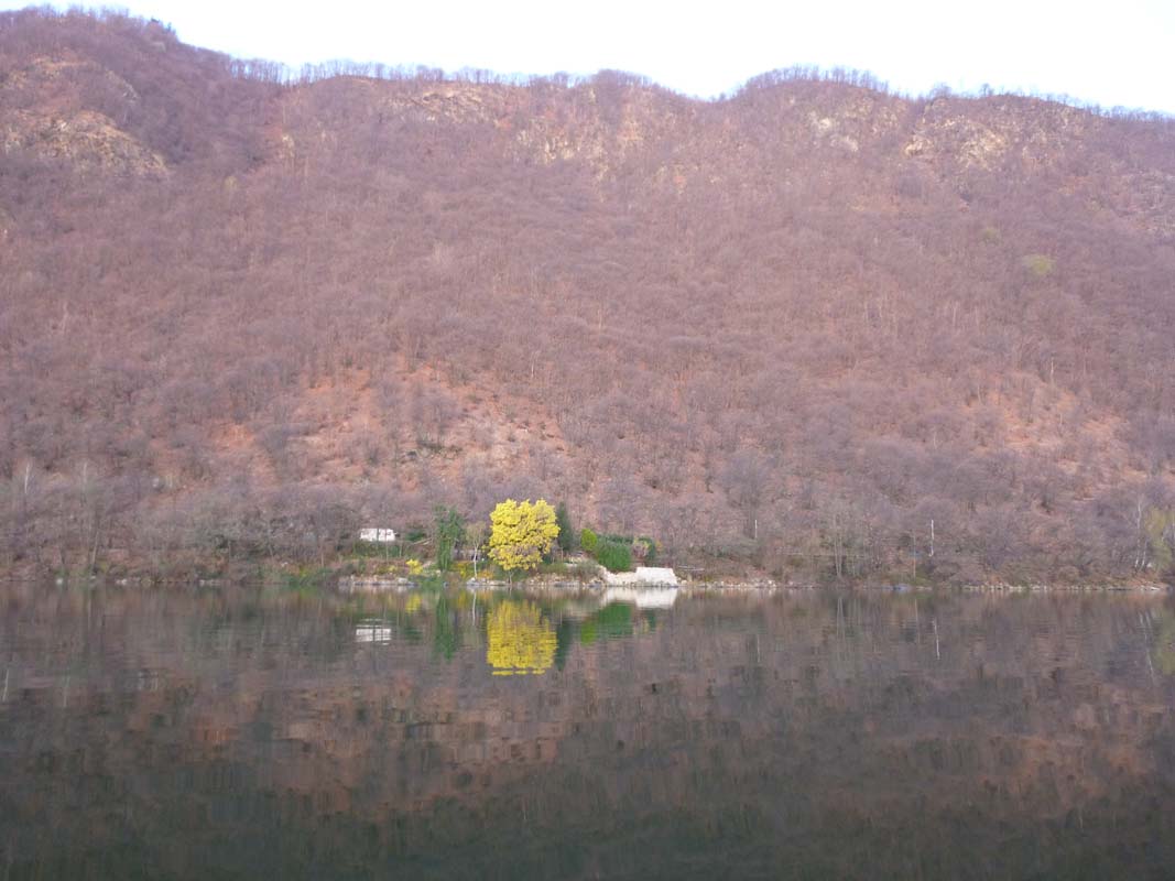 Orta 029