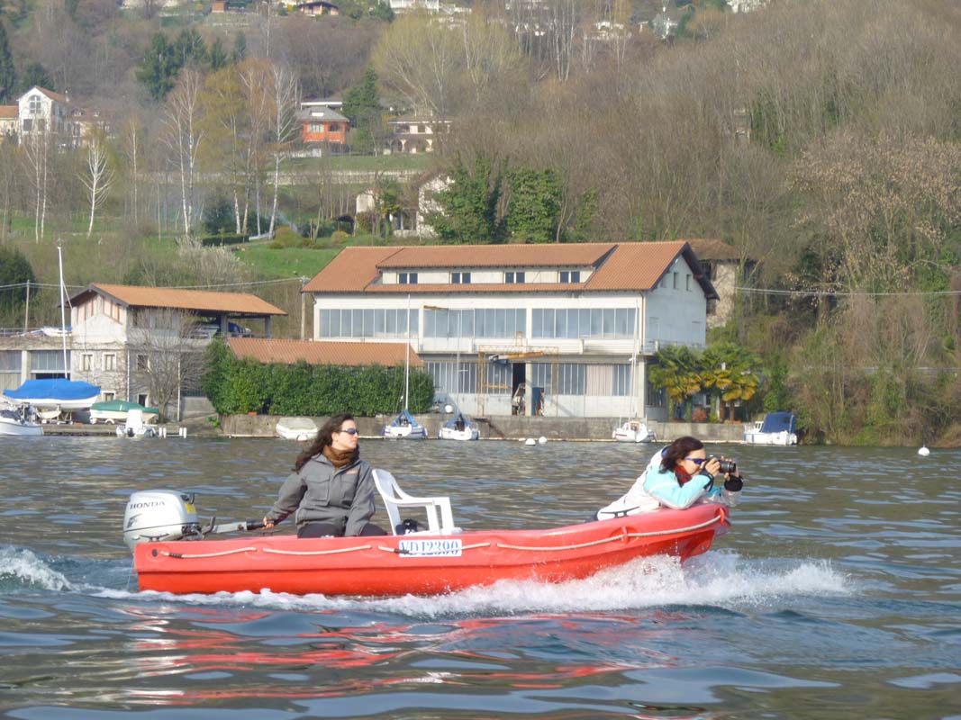 Orta 172