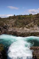 IMG_8082