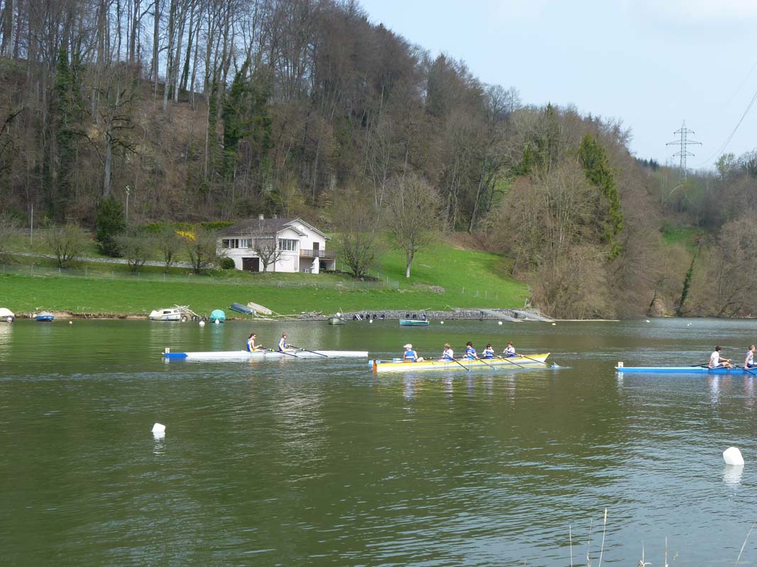 reg-schiff 050