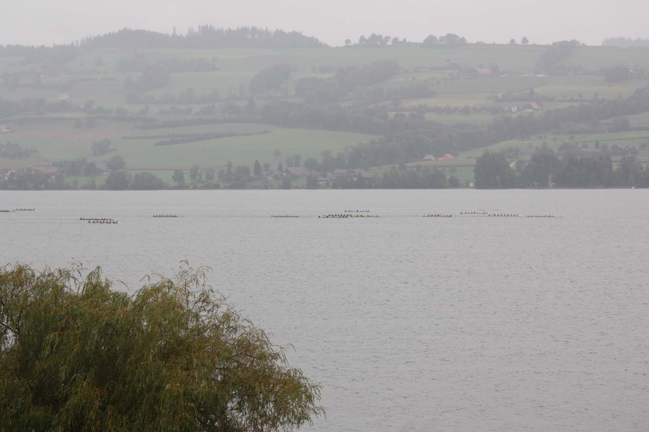 Sursee 043