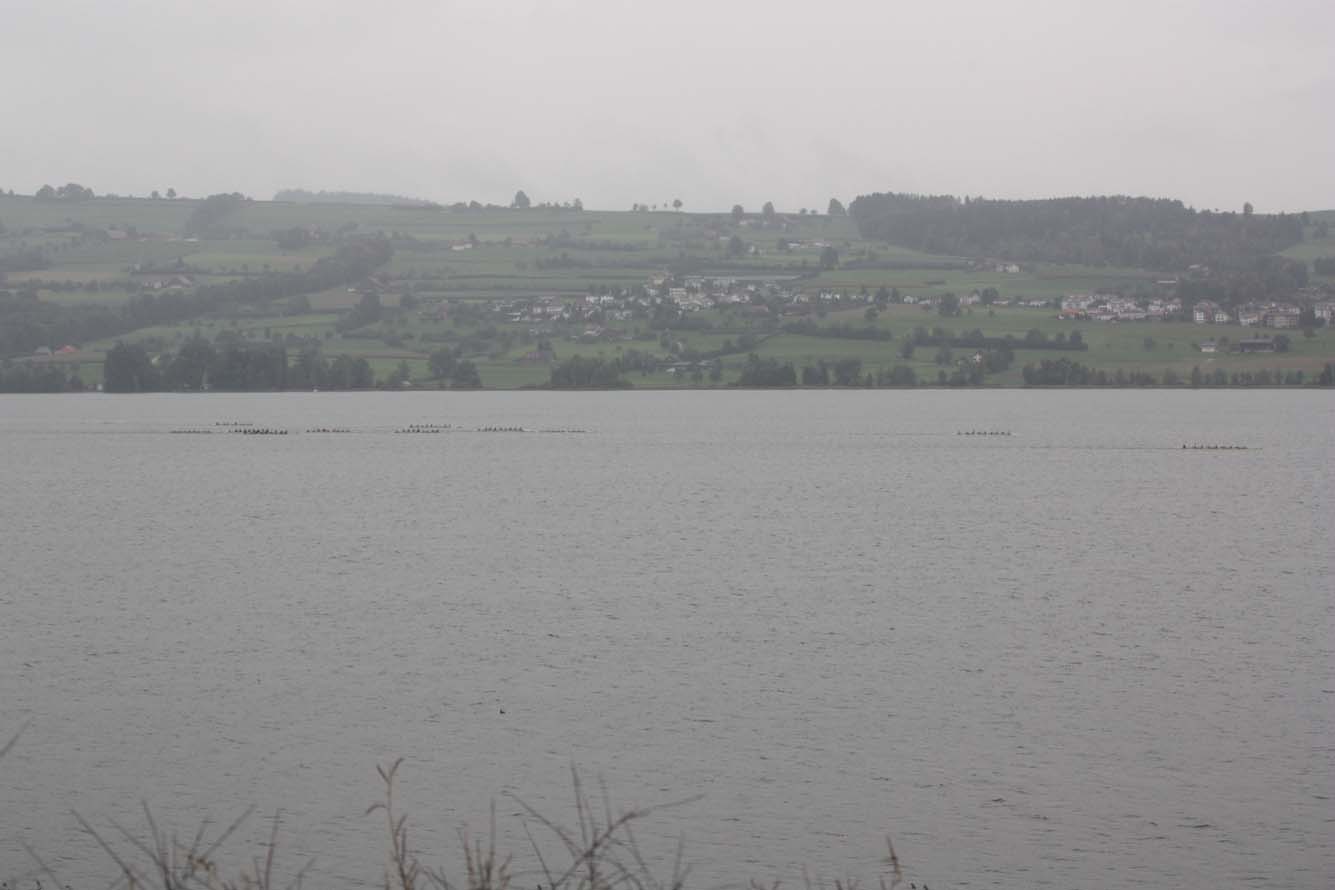 Sursee 044