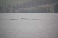 Sursee 041
