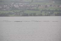 Sursee 047