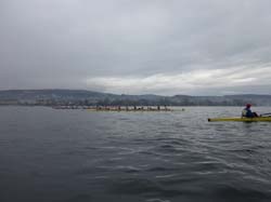 Thalwil 015