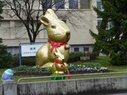 Thalwil 038