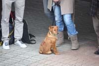 IMG_8192