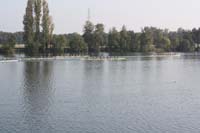 IMG_0804