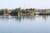IMG_0959