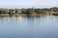 IMG_1007