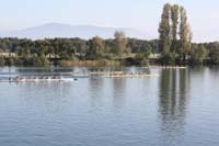 IMG_1010