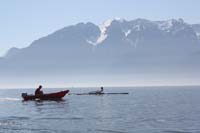 IMG_8517