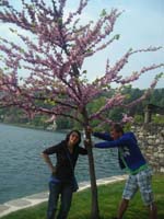 DSCN4113