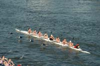 TKF_2010_08423
