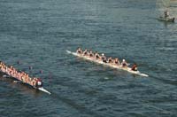 TKF_2010_08448