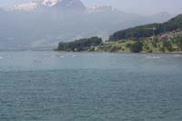 IMG_2931