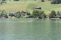 IMG_2949