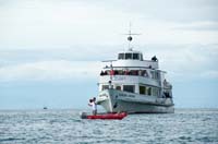 Aviron_Vevey_125_ans#1E34E0
