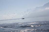 IMG_4355