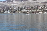 IMG_4404