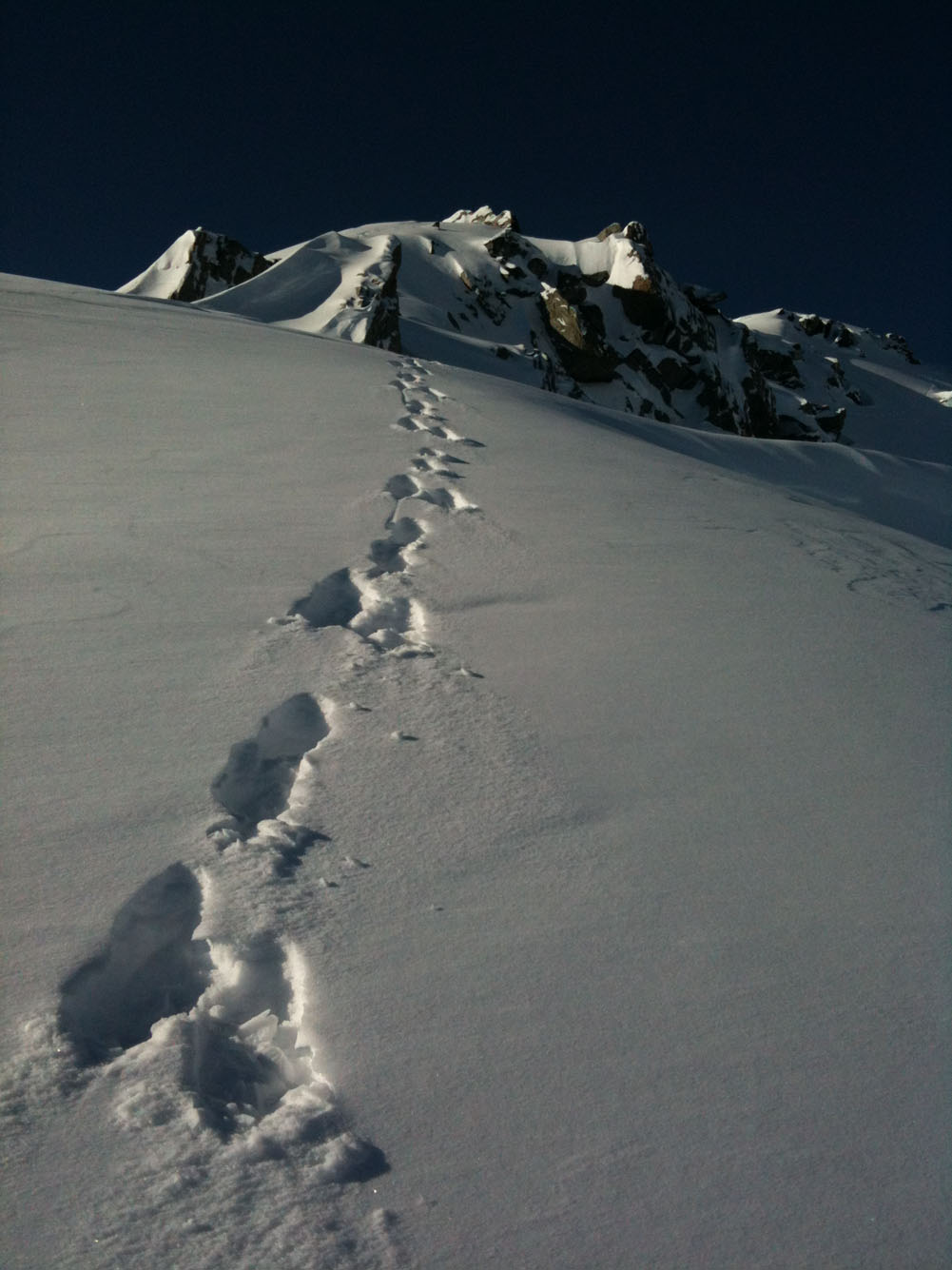 photo (3)