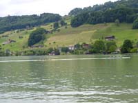 P1000786