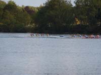 P1000155