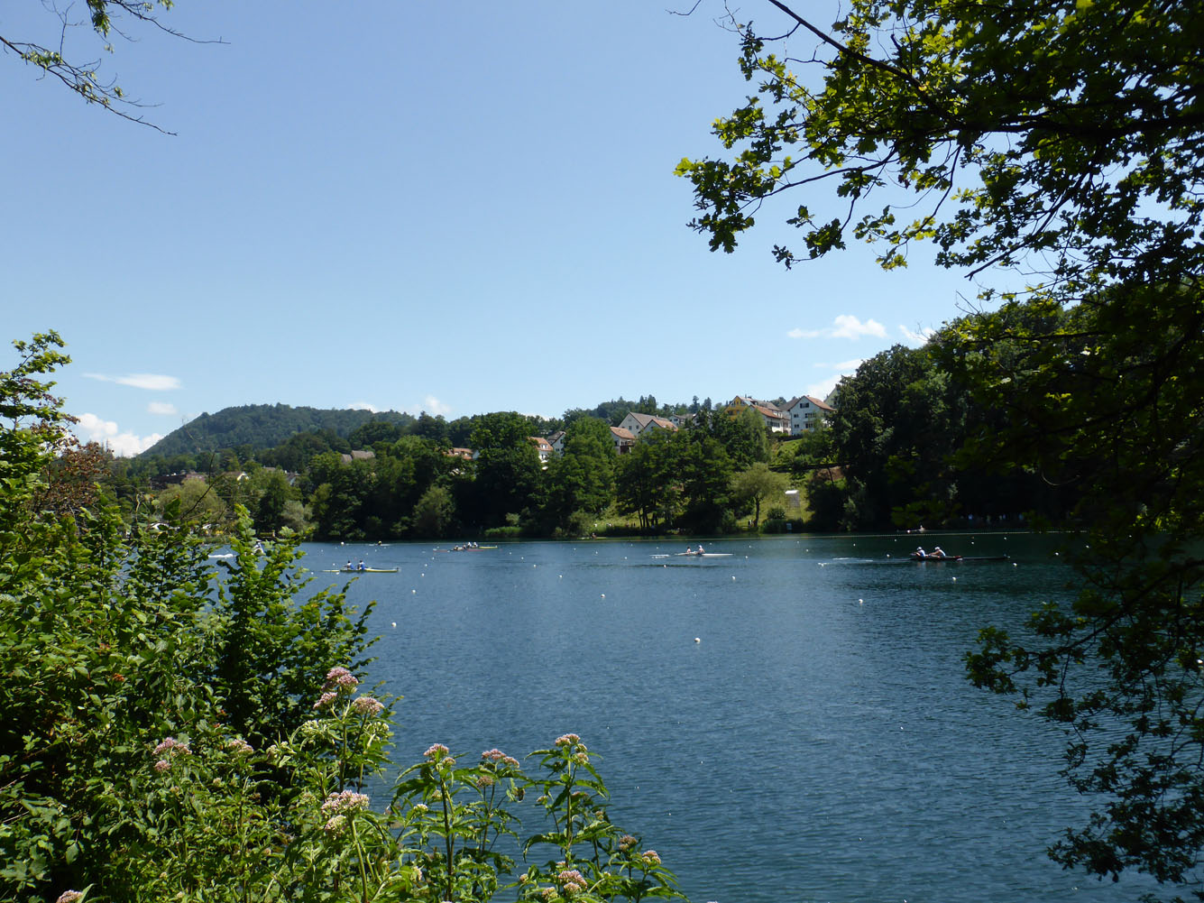 P1000514