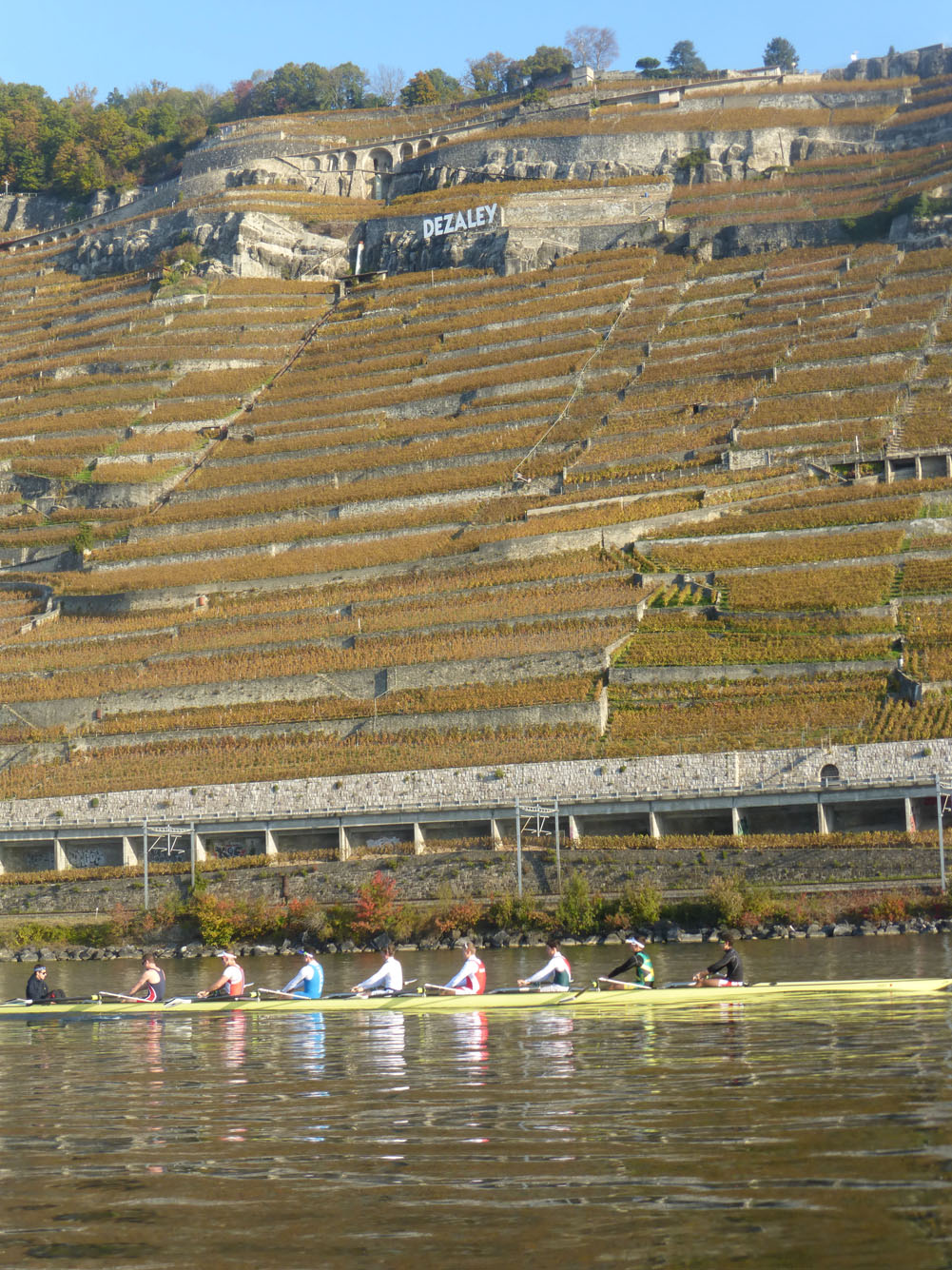 P1000639