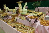 IMG_0553
