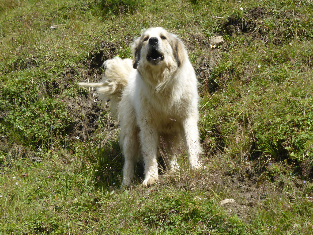 P1010055