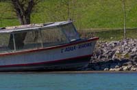 belley-200